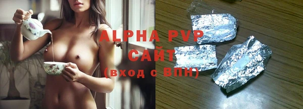 Альфа ПВП Бородино