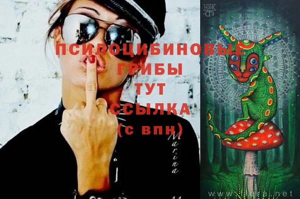 apvp Бугульма