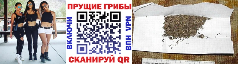 Псилоцибиновые грибы GOLDEN TEACHER  Чудово 