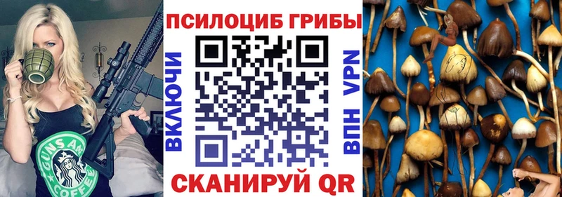 Галлюциногенные грибы Psilocybine cubensis Чудово